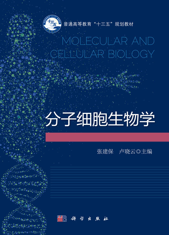 分子细胞生物学