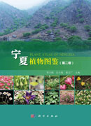宁夏植物图鉴（第2卷）