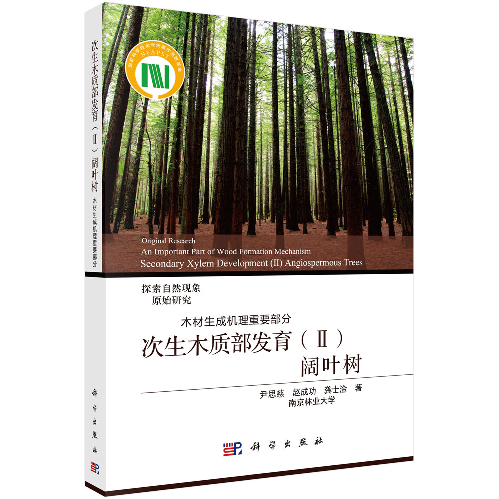 次生木质部发育（Ⅱ）阔叶树