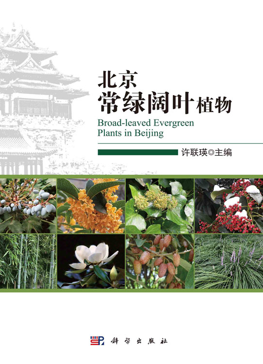 北京常绿阔叶植物