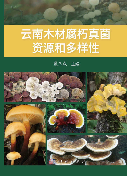云南木材腐朽真菌资源和多样性