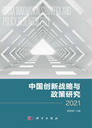 中国创新战略与政策研究.2021