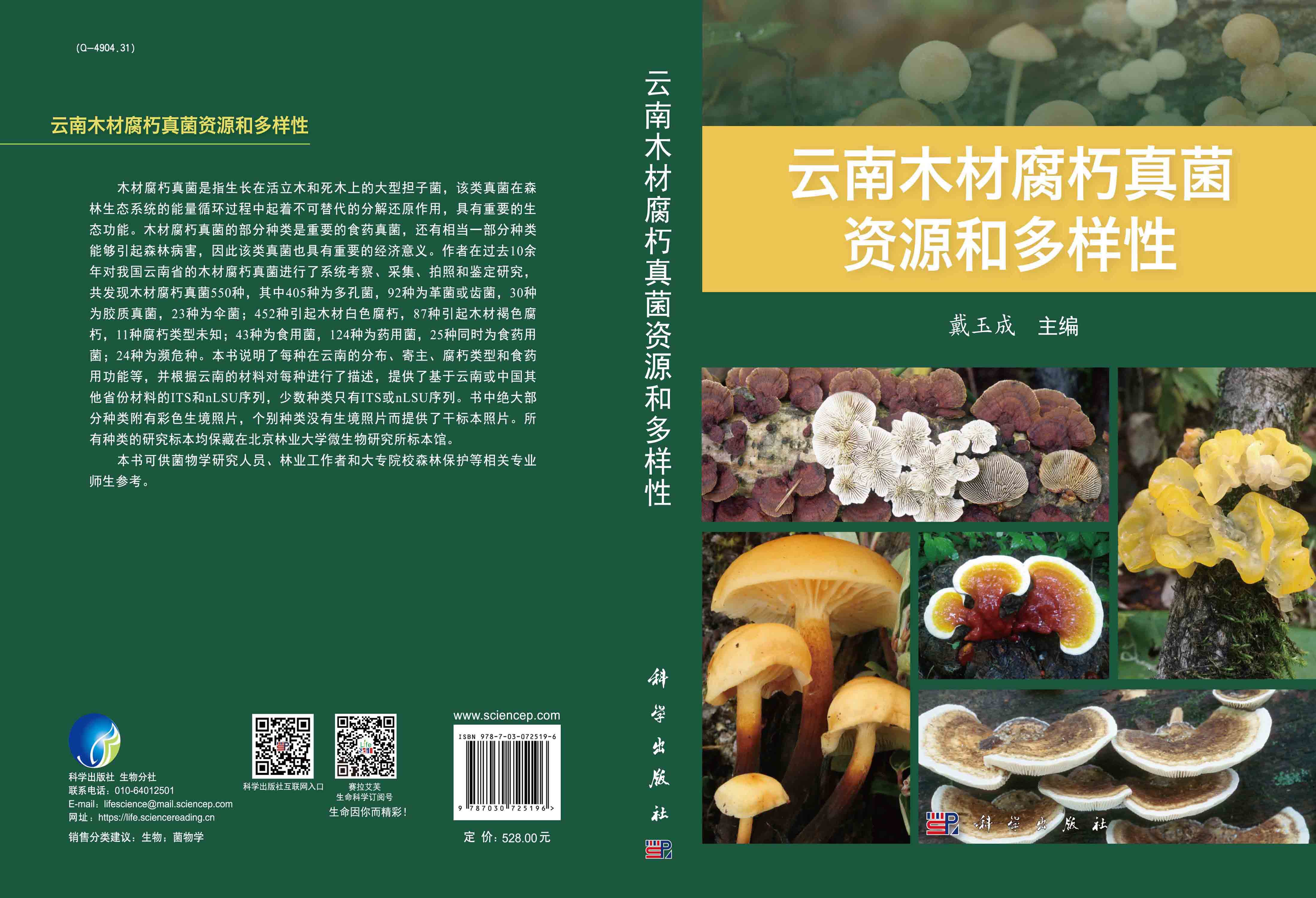 云南木材腐朽真菌资源和多样性