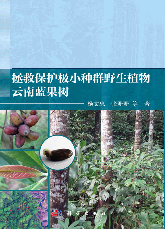 拯救保护极小种群野生植物云南蓝果树