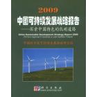 2009中国可持续发展战略报告