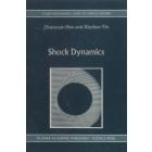 Shock Dynamics