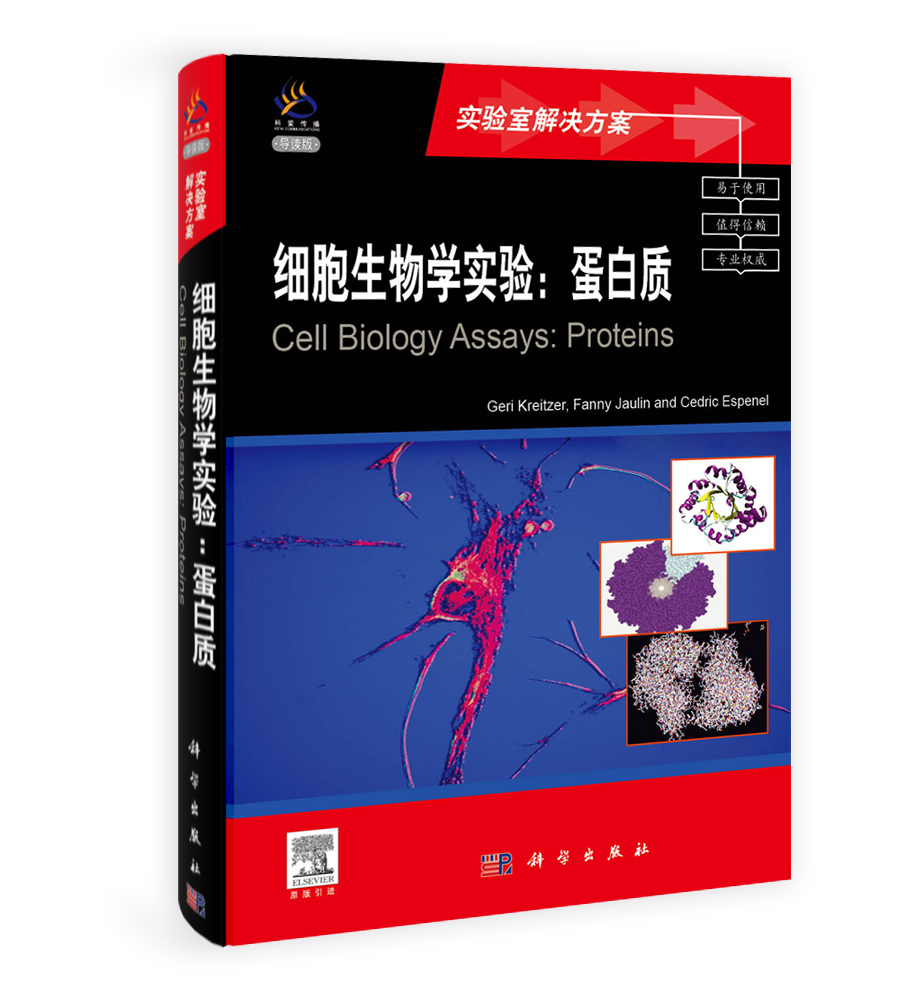 细胞生物学实验：蛋白质（导读版）