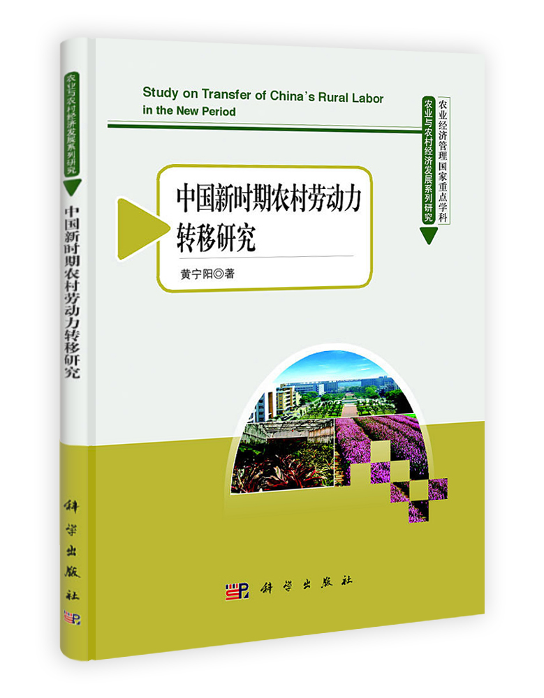 中国新时期农村劳动力转移研究