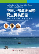 中国北部湾潮间带现生贝类图鉴