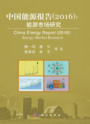 中国能源报告（2016）能源市场研究