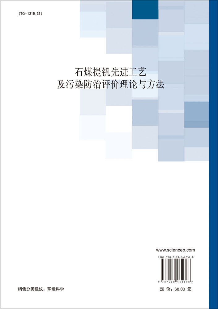 石煤提钒行业先进工艺及污染防治技术评估理论与方法