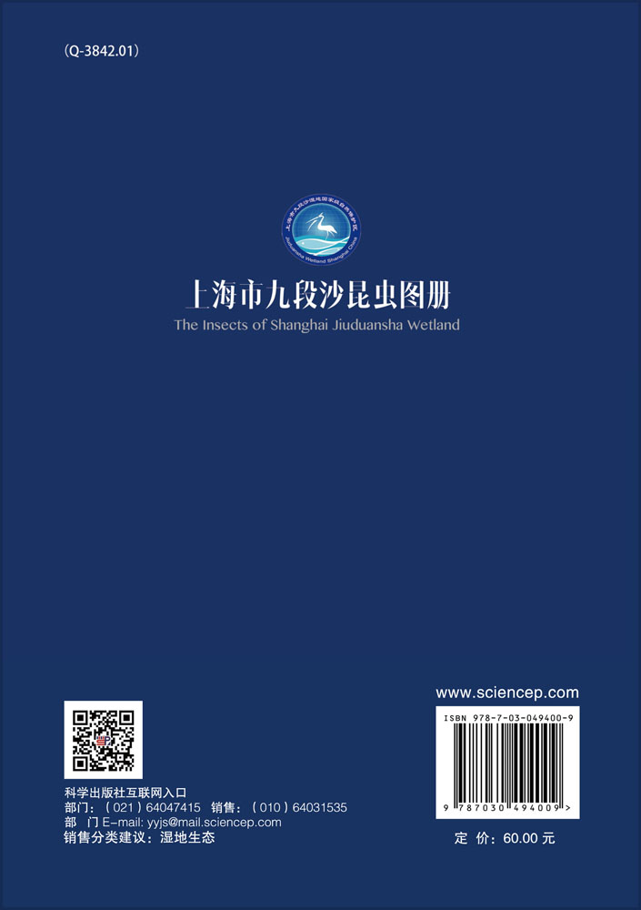 上海市九段沙昆虫图册