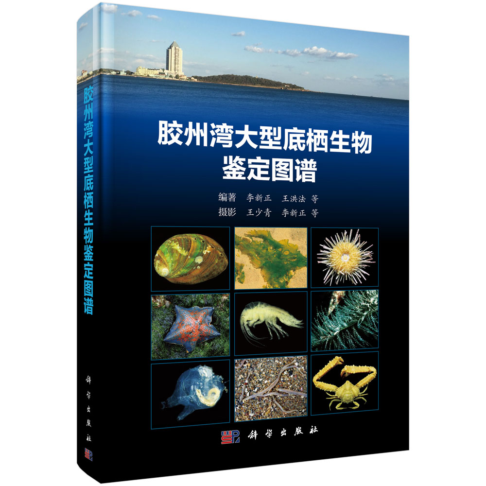 胶州湾大型底栖生物鉴定图谱