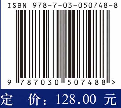 分区异步元胞自动机模型及其应用