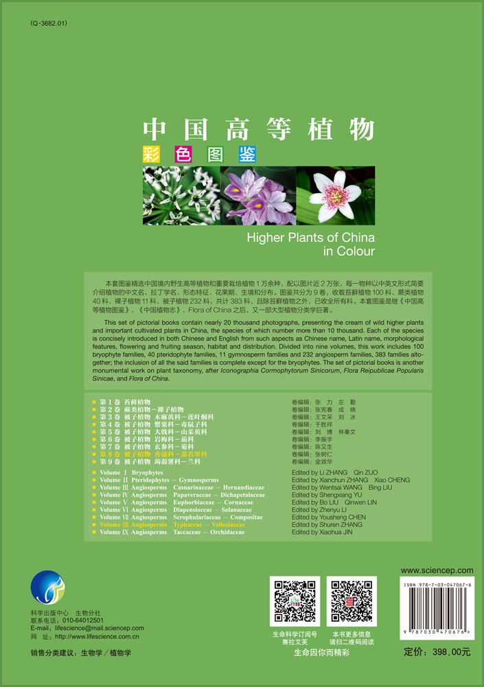 中国高等植物彩色图鉴 第8卷 被子植物 香蒲科-翡若翠科