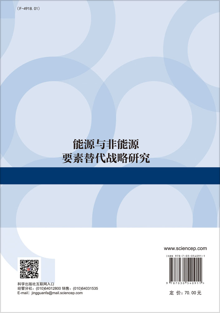 能源与非能源要素替代战略研究