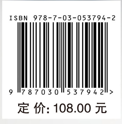 超/特高压变压器差动保护关键技术与新原理