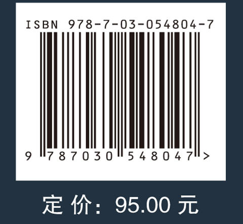 头脑风暴优化算法理论及应用