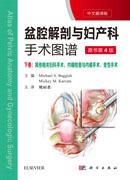 盆腔解剖与妇产科手术图谱 下卷（中文翻译版，原书第4版）