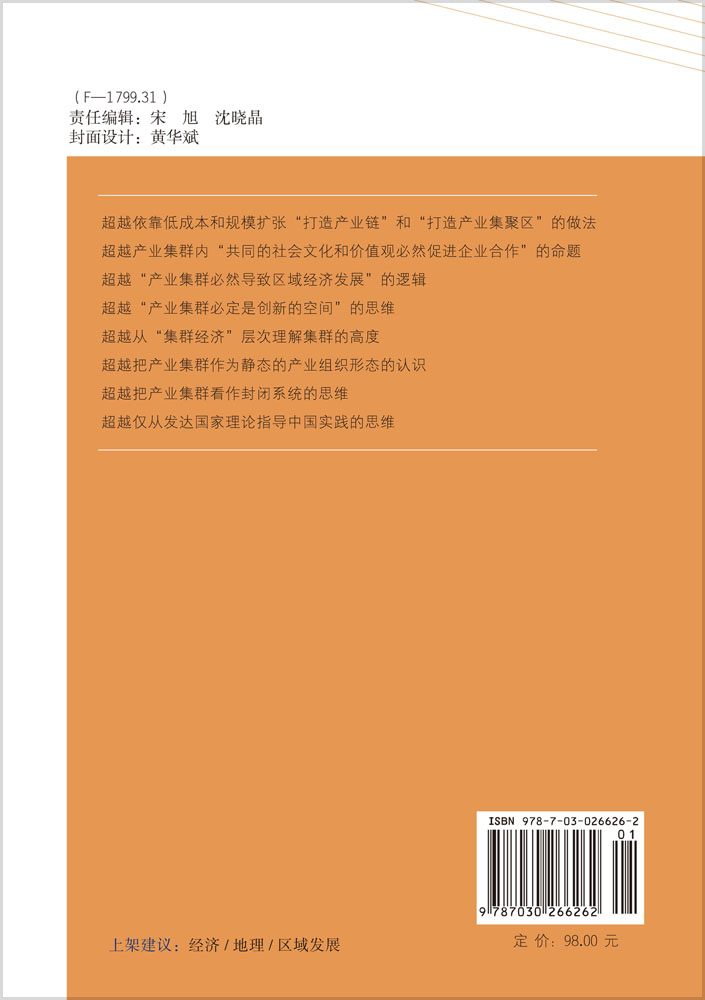 超越集群——中国产业集群的理论探索