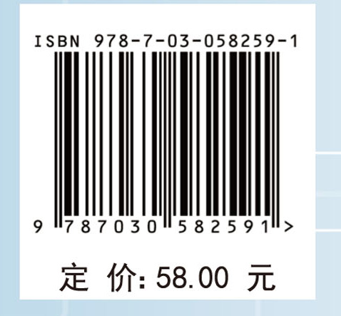 企业间治理导向的合作电子商务能力形成和作用研究