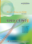 基因分子生物学（影印版）Molecular Biology of the Gene（6e）