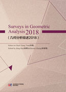 几何分析综述2018（英文版）
