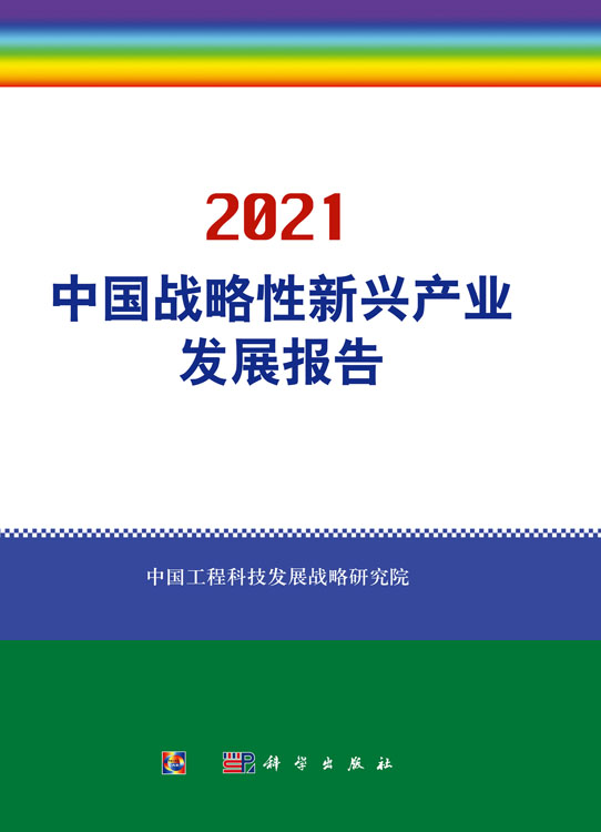 中国战略性新兴产业发展报告2021