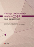 几何分析综述2019（英文版）