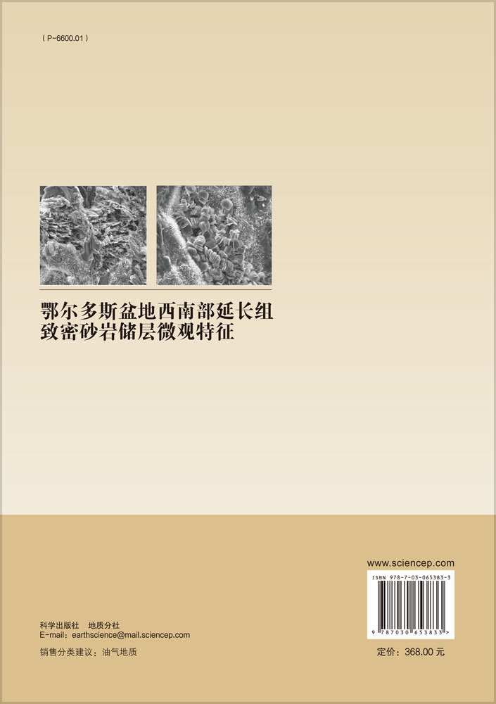 鄂尔多斯盆地西南部延长组致密砂岩储层微观特征