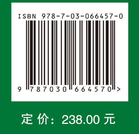 中国战略性新兴产业发展报告2021