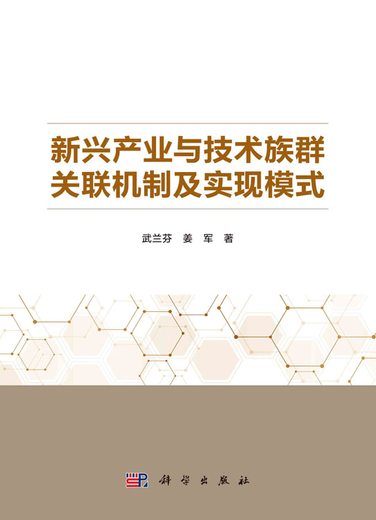 新兴产业与技术族群关联机制及实现模式