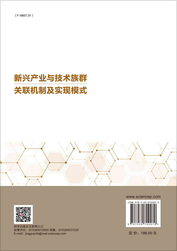 新兴产业与技术族群关联机制及实现模式