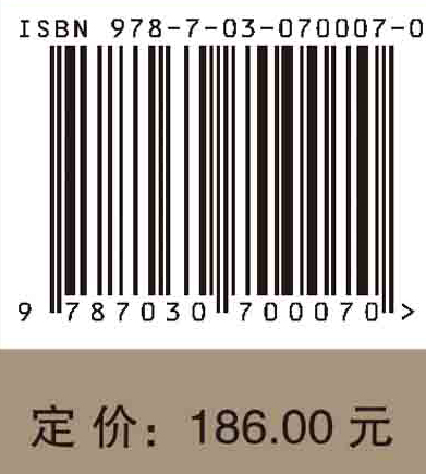 新兴产业与技术族群关联机制及实现模式