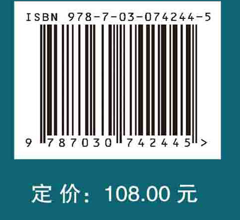 平面交叉口交通运行秩序评价与模拟