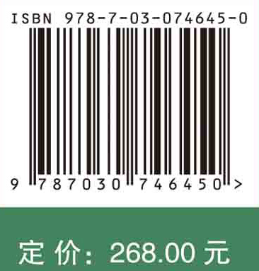 地球大数据支撑可持续发展目标报告（2022）：“一带一路”篇