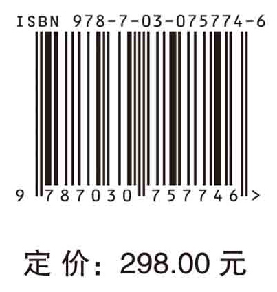 数字政府的理论探索与实践创新：从全面认知到整体智治