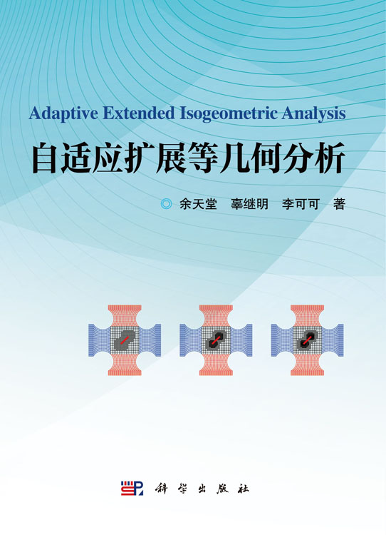 自适应扩展等几何分析