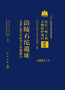 涪陵石沱遗址——1998～2001年度考古发掘报告