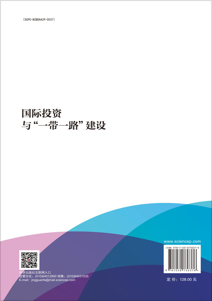 国际投资与“一带一路”建设