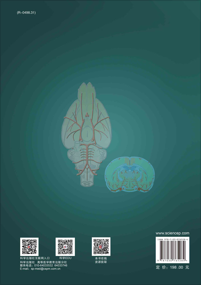 鼠脑应用解剖学