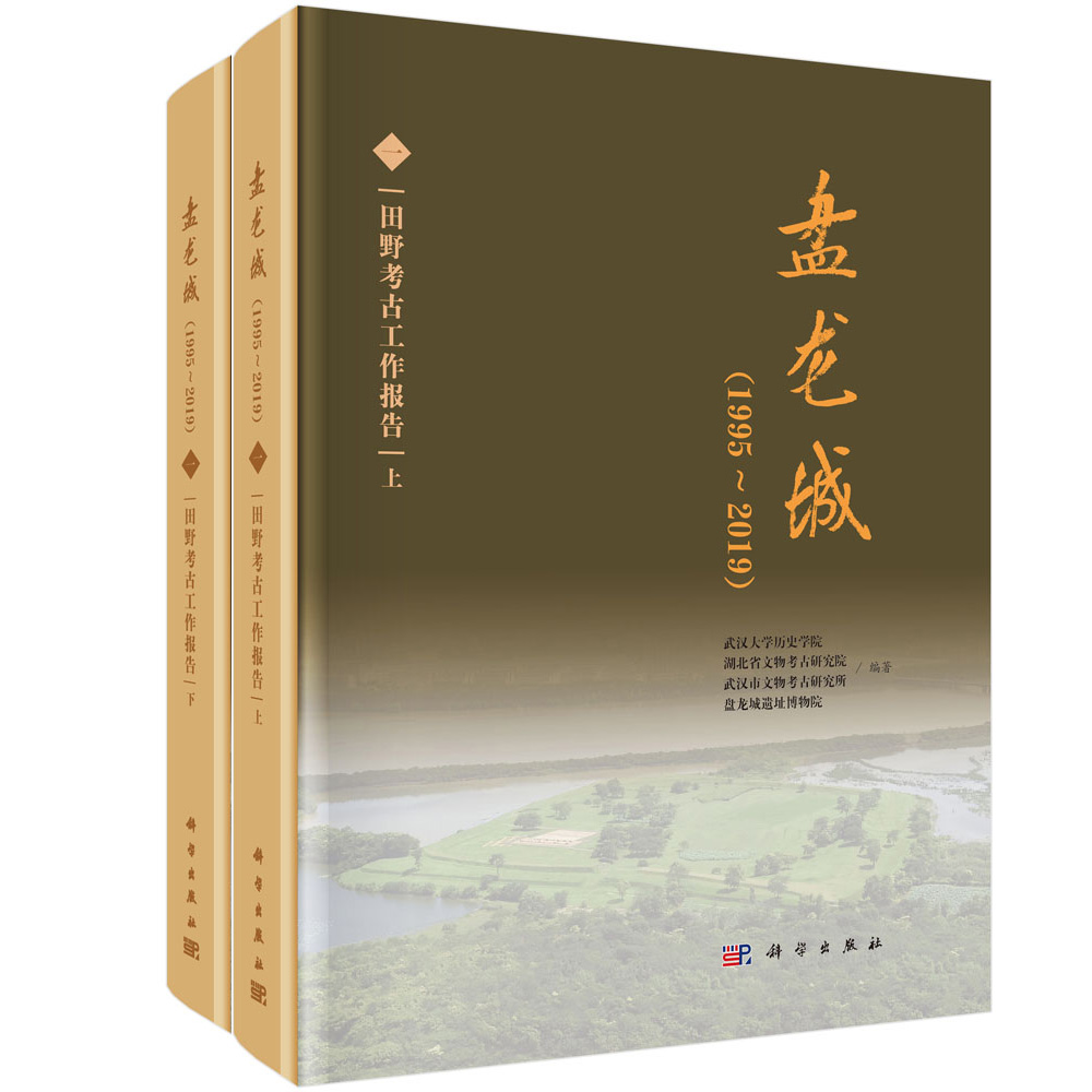 盘龙城：（1995～2019）（一） 田野考古工作报告（全2册）