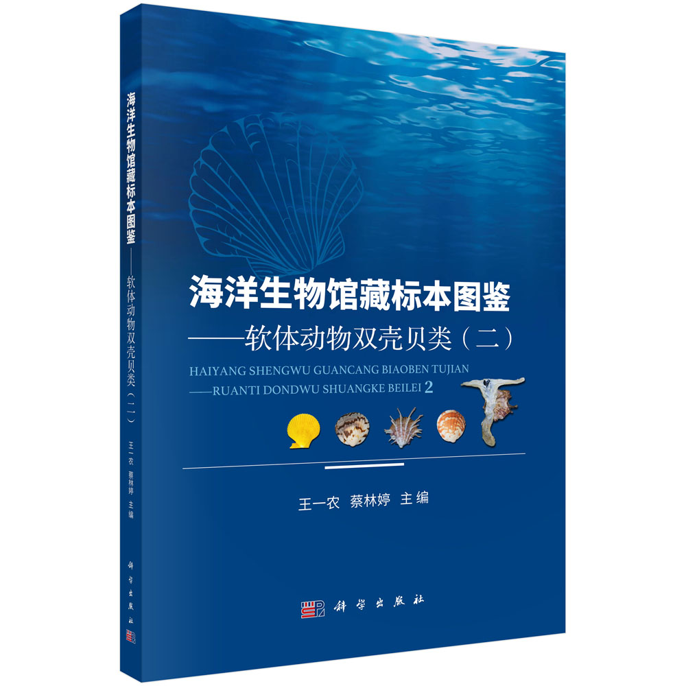 海洋生物馆藏标本图鉴——软体动物双壳贝类（二）