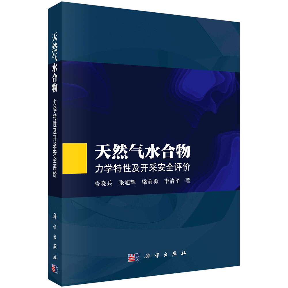 天然气水合物：力学特性及开采安全评价