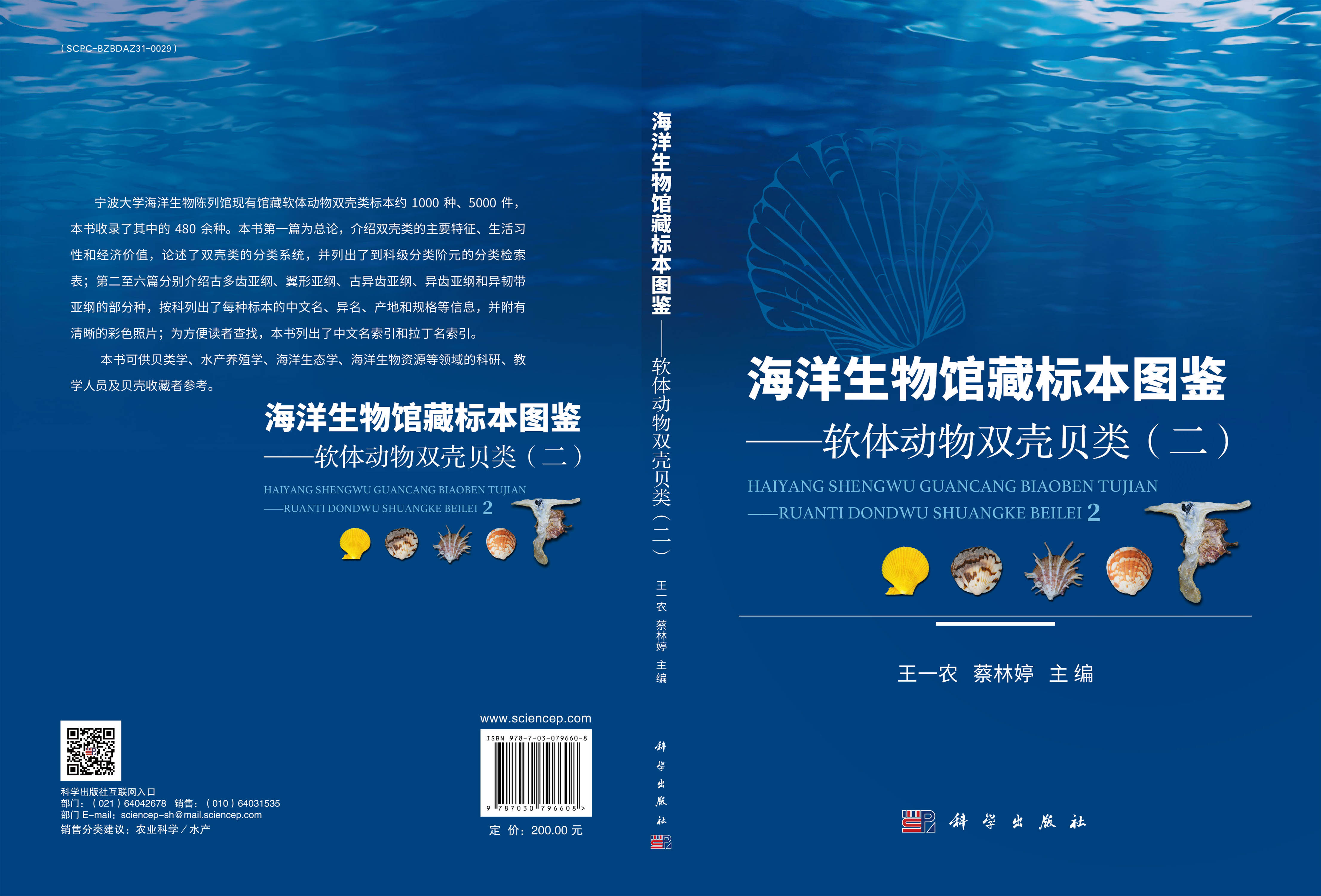 海洋生物馆藏标本图鉴——软体动物双壳贝类（二）