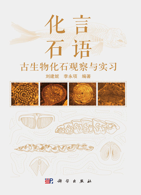 化言石语——古生物化石观察与实习